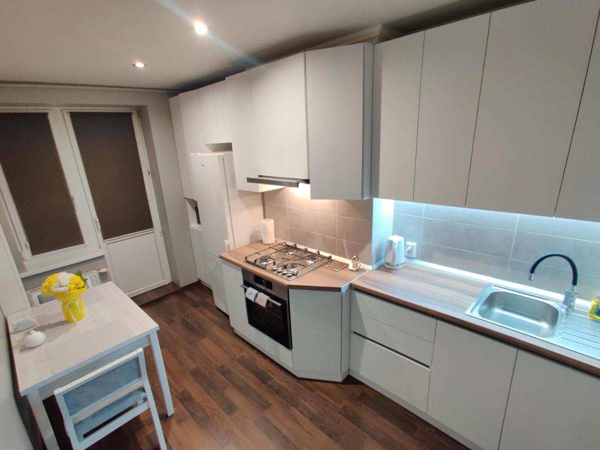 Micromegas Apartments チェルニウツィー エクステリア 写真